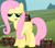 Size: 594x519 | Tagged: safe, fluttershy, pegasus, pony, female, fuzzle, mare, oddworld, pink mane, yellow coat