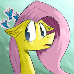 Size: 900x900 | Tagged: safe, artist:goat train, fluttershy, pegasus, pony, female, mare, pink mane, solo, yellow coat