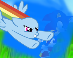 Size: 900x720 | Tagged: safe, artist:chilly-bases, artist:sonikkudrawings, derpibooru import, rainbow dash, pegasus, pony, crossover, race, sonic the hedgehog, sonic the hedgehog (series), vector