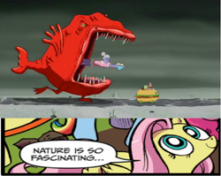 Size: 592x472 | Tagged: safe, fluttershy, pegasus, pony, blue coat, blue eyes, dialogue, exploitable meme, female, frogfish, looking up, mare, meme, multicolored tail, nature is so fascinating, obligatory pony, patrick star, pink coat, pink mane, smiling, speech bubble, spongebob squarepants, the spongebob squarepants movie, wings, yellow coat