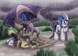 Size: 900x655 | Tagged: safe, artist:inuhoshi-to-darkpen, fluttershy, rarity, pegasus, pony, rabbit, unicorn, magic, rain, umbrella, unshorn fetlocks, wet, wet mane, wet mane rarity