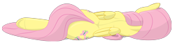 Size: 3000x784 | Tagged: safe, artist:noctrl, fluttershy, pegasus, pony, back, on side, sleeping, solo