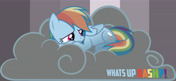 Size: 13892x6432 | Tagged: safe, artist:dasprid, artist:mcdashin, derpibooru import, rainbow dash, pegasus, pony, absurd resolution, cloud, gray, sad, vector, wallpaper