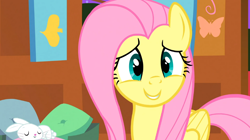 Size: 930x522 | Tagged: safe, screencap, angel bunny, fluttershy, pegasus, pony, stare master, solo