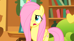 Size: 930x522 | Tagged: safe, screencap, fluttershy, pegasus, pony, stare master, female, mare, solo