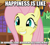 Size: 524x475 | Tagged: safe, fluttershy, pegasus, pony, happy, image macro, meme, smiling, solo