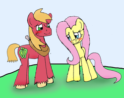 Size: 1000x792 | Tagged: safe, artist:jrapcdaikari, big macintosh, fluttershy, earth pony, pegasus, pony, blushing, fluttermac, male, shipping, stallion, straight