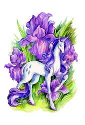 Size: 600x879 | Tagged: safe, artist:trollgirl, rarity, classical unicorn, pony, unicorn, flower, iris (flower), leonine tail, traditional art, unshorn fetlocks, watercolor painting