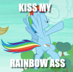 Size: 699x691 | Tagged: safe, derpibooru import, edit, edited screencap, screencap, rainbow dash, pegasus, pony, non-compete clause, cropped, image macro, kiss my ass, meme, plot, rainboast dash, vulgar