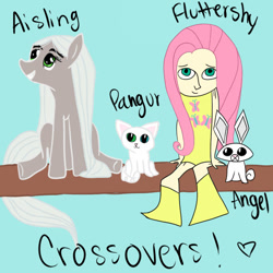 Size: 600x600 | Tagged: safe, artist:catz537, angel bunny, fluttershy, human, aisling, clothes, crossover, dress, humanized, pangur ban, ponified, secret of kells