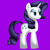 Size: 1687x1687 | Tagged: safe, artist:king-sombrero, rarity, pony, unicorn, female, horn, mare, solo, white coat