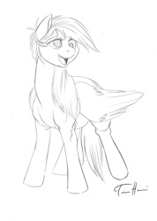 Size: 911x1280 | Tagged: safe, artist:artschmo, derpy hooves, pegasus, pony, female, lineart, mare, monochrome, sketch, solo