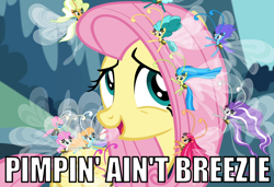 Size: 700x479 | Tagged: safe, screencap, fluttershy, seabreeze, breezie, pegasus, pony, it ain't easy being breezies, caption, image macro, meme, pimpin' ain't easy, pun