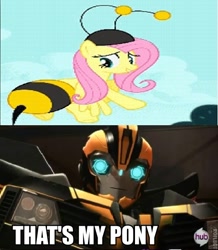 Size: 520x597 | Tagged: safe, fluttershy, pegasus, pony, it ain't easy being breezies, animal costume, bee costume, bumblebee, clothes, costume, flutterbee, meme, that's my pony, that's my x, transformers, transformers prime