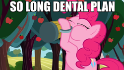 Size: 883x497 | Tagged: safe, pinkie pie, earth pony, pony, cider, dental plan, drinking, image macro, meme, solo, the simpsons