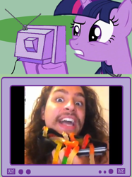 Size: 563x752 | Tagged: safe, derpibooru import, twilight sparkle, human, exploitable meme, gummy worm, meme, moustache, nicholas megalis, obligatory pony, reaction image, tv meme, wallet, youtube