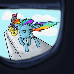 Size: 1440x1440 | Tagged: safe, artist:fancoral, derpibooru import, fluttershy, rainbow dash, pegasus, pony, plane