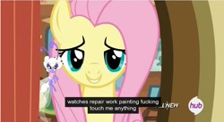 Size: 854x469 | Tagged: safe, screencap, fluttershy, breezie, pegasus, pony, it ain't easy being breezies, all new, door, hub logo, meme, text, vulgar, youtube caption