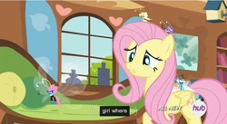 Size: 850x466 | Tagged: safe, screencap, fluttershy, pegasus, pony, it ain't easy being breezies, hub logo, meme, youtube caption