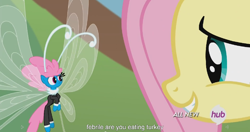 Size: 1152x609 | Tagged: safe, screencap, fluttershy, seabreeze, pegasus, pony, it ain't easy being breezies, hub logo, meme, youtube caption