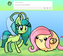 Size: 672x598 | Tagged: safe, artist:pekou, fluttershy, breezie, pegasus, pony, ask my little chubbies, it ain't easy being breezies, chubbie