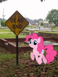 Size: 588x784 | Tagged: safe, pinkie pie, graveyard, irl, photo, ponies in real life, pun, sign, twiface, wrong neighborhood