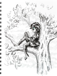 Size: 1024x1365 | Tagged: safe, artist:helmie-art, sunset shimmer, equestria girls, against tree, book, clothes, female, inktober, inktober 2017, monochrome, pants, reading, solo, traditional art, tree, tree branch