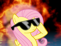 Size: 800x600 | Tagged: safe, fluttershy, pegasus, pony, explosion, solo, sunglasses, swag