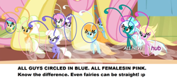 Size: 1898x873 | Tagged: safe, edit, screencap, fluttershy, breezie, pegasus, pony, it ain't easy being breezies, educational, gender differences in breezies, sexual dimorphism