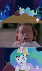 Size: 602x1024 | Tagged: safe, princess celestia, alicorn, pony, arnold schwarzenegger, celestia's nightmare, exploitable meme, junior, meme