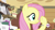 Size: 1280x720 | Tagged: safe, screencap, fluttershy, pegasus, pony, it ain't easy being breezies, hub logo, solo