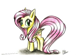 Size: 1024x744 | Tagged: safe, artist:kobra333, fluttershy, pegasus, pony, female, mare, solo, traditional art