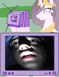 Size: 578x750 | Tagged: safe, princess celestia, alicorn, pony, dashiexp, exploitable meme, meme, obligatory pony, princess molestia, tv meme