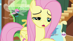 Size: 1920x1080 | Tagged: safe, screencap, fluttershy, seabreeze, pegasus, pony, it ain't easy being breezies, hub logo