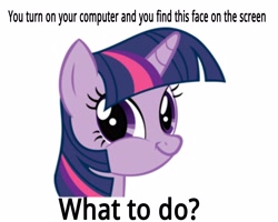 Size: 5000x4000 | Tagged: safe, derpibooru import, twilight sparkle, bronybait, computer, solo, text, twiface