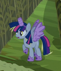 Size: 244x287 | Tagged: safe, screencap, derpy hooves, twilight sparkle, twilight sparkle (alicorn), alicorn, pony, scare master, alicorn costume, clothes, cosplay, costume, disguise, fake horn, fake wings, female, frown, mare, nightmare night, nightmare night costume, open mouth, paper-thin disguise, raised hoof, solo, spread wings, toilet paper roll, toilet paper roll horn, twilight muffins, wig