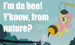 Size: 542x322 | Tagged: safe, edit, edited screencap, screencap, fluttershy, seabreeze, bee, pegasus, pony, it ain't easy being breezies, animal costume, bee costume, clothes, costume, female, flutterbee, homestar runner, image macro, mare, meme, strong bad