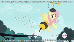 Size: 960x540 | Tagged: safe, edit, edited screencap, screencap, fluttershy, seabreeze, bee, pegasus, pony, it ain't easy being breezies, animal costume, bee costume, clothes, costume, female, flutterbee, hub logo, image macro, mare, meme, phineas and ferb, song reference
