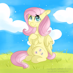 Size: 4831x4841 | Tagged: safe, artist:bloodyhellhayden, fluttershy, pegasus, pony, absurd resolution, female, mare, solo