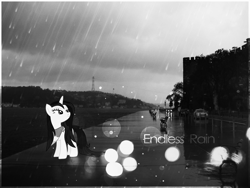 Size: 1200x900 | Tagged: safe, artist:kamikazelenna, rarity, pony, unicorn, black and white, car, grayscale, irl, monochrome, photo, ponies in real life, rain, solo, wallpaper, water, wet, wet mane, wet mane rarity