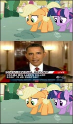 Size: 608x1024 | Tagged: safe, applejack, twilight sparkle, human, american presidents, barack obama, exploitable meme, hub logo, hubble, irl, irl human, lying, meme, news, op is trying to start shit, osama bin laden, photo, president, truth meme