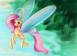 Size: 1500x1090 | Tagged: safe, artist:krololo, fluttershy, breezie, breeziefied, flutterbreez, solo, species swap