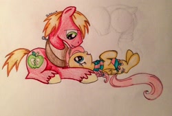 Size: 2275x1535 | Tagged: safe, artist:rarityforever, big macintosh, fluttershy, earth pony, pegasus, pony, clothes, fluttermac, male, scarf, shipping, stallion, straight, traditional art