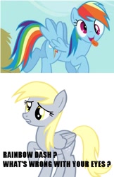 Size: 555x854 | Tagged: safe, derpy hooves, rainbow dash, pegasus, pony, derp, female, image macro, mare, meme