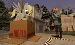Size: 1024x614 | Tagged: safe, artist:dragonboi471, derpy hooves, pegasus, pony, 3d, box, female, gmod, mare, shovel, snakewater, soldier, team fortress 2, tongue out