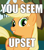 Size: 438x500 | Tagged: safe, applejack, earth pony, pony, caption, image macro, reaction image, solo, you seem upset