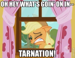 Size: 381x295 | Tagged: safe, edit, edited screencap, screencap, applejack, earth pony, pony, the show stoppers, female, hub logo, image macro, mare, reaction image, roflbot, solo