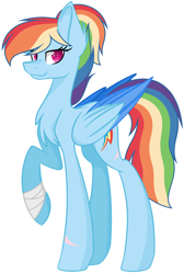 Size: 1544x2300 | Tagged: safe, artist:emabases, derpibooru import, rainbow dash, pegasus, pony, alternate hairstyle, alternate universe, backwards cutie mark, bandage, base used, colored wings, colored wingtips, female, mare, scar, simple background, smiling, solo, white background, wings