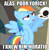 Size: 541x550 | Tagged: safe, derpibooru import, edit, edited screencap, screencap, rainbow dash, pegasus, pony, alas poor yorick, caption, cute, dashabetes, female, hamlet, image macro, mare, meme, shakespeare, skull, solo