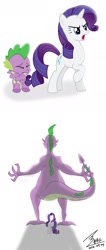 Size: 900x2127 | Tagged: safe, artist:bluse, rarity, spike, dragon, pony, unicorn, cute, female, feminism, male, older, raribetes, shipping, show accurate, simple background, sparity, spikezilla, straight, white background